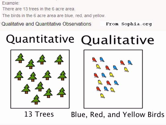 Qualitative Report Example Best Of Creative Putation