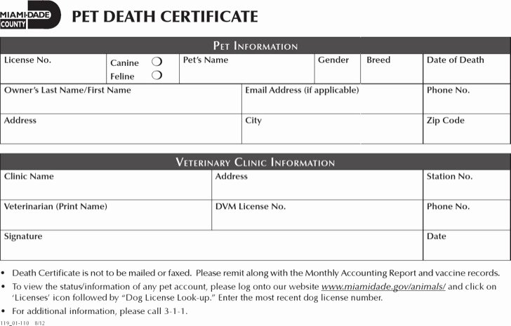 Rabies Vaccination Certificate Template Fresh Dog Certificate Templates