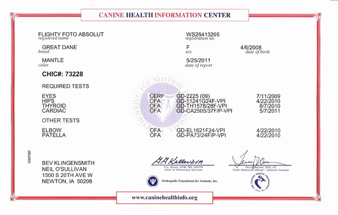 Rabies Vaccination Certificate Template New Vaccination Certification