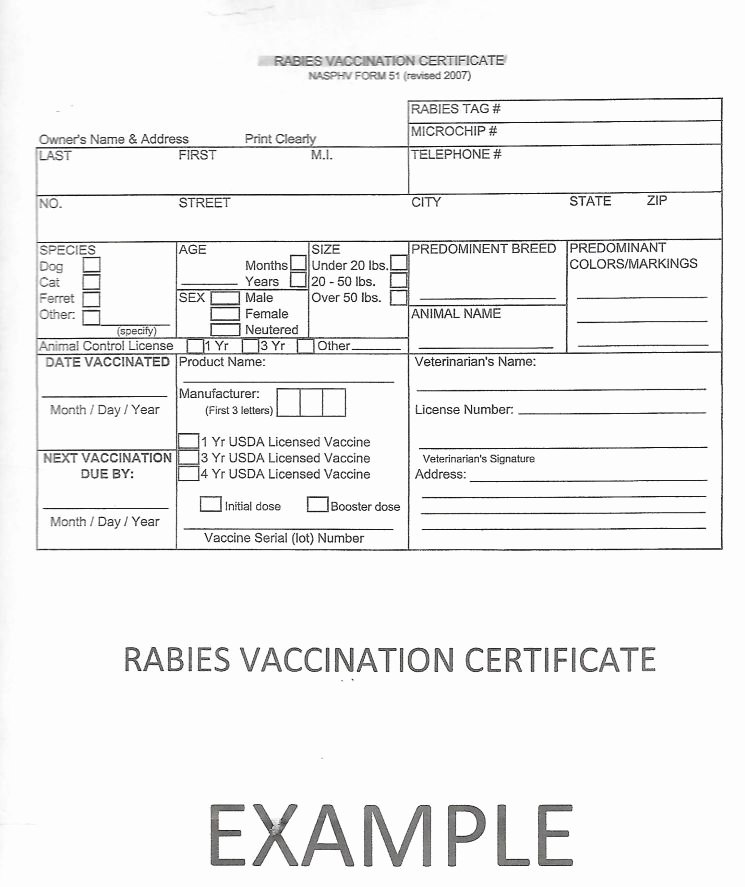 Rabies Vaccination Certificate Template Unique “dog Warden Alert” – Love My Doggy Day Care