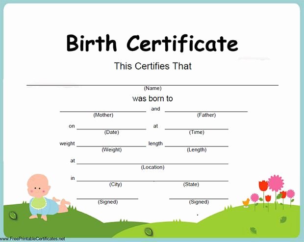 Real Birth Certificate Template Elegant 41 Best Reborn Dolls Images On Pinterest