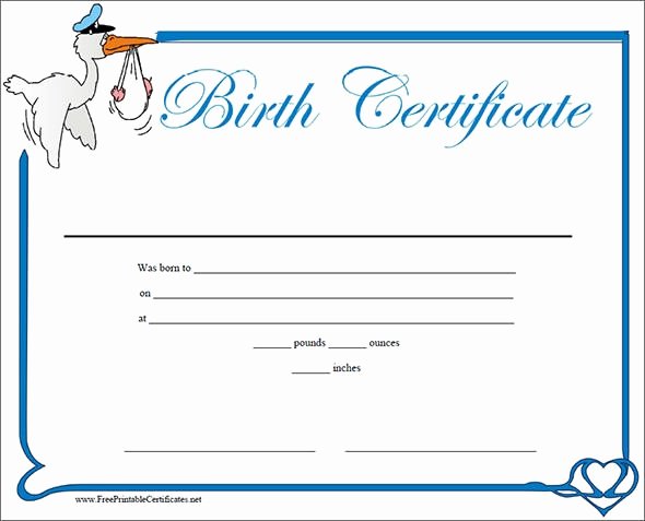 Sample Blank Birth Certificate Lovely Free 17 Birth Certificate Templates In Illustrator
