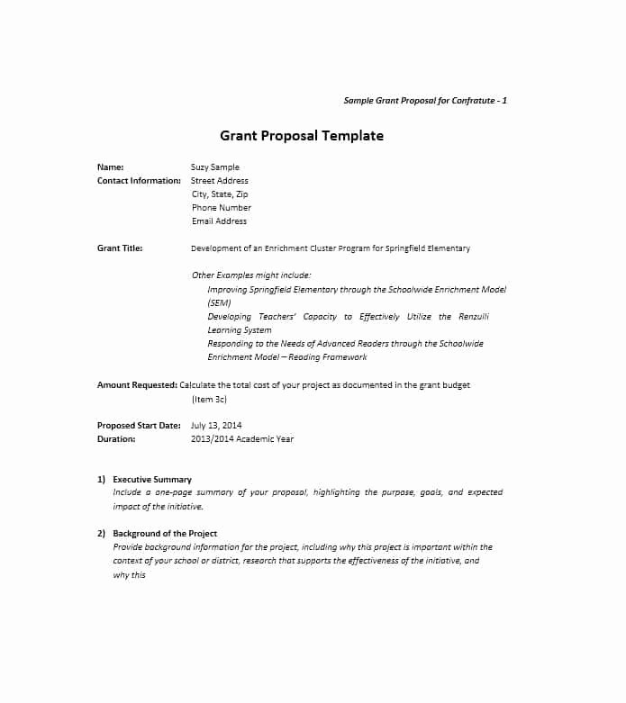 Sample Grant Proposal Non Profit Beautiful 40 Grant Proposal Templates [nsf Non Profit Research]