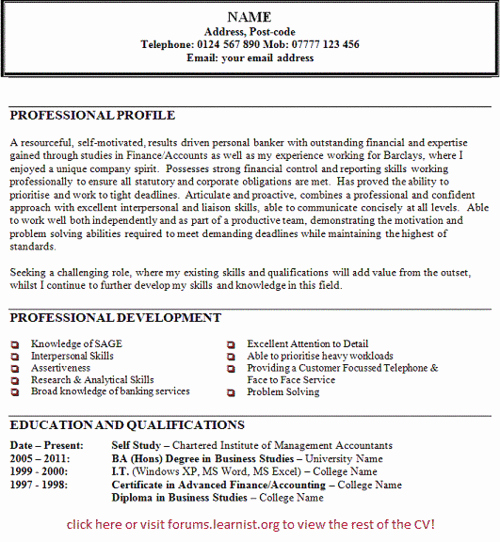 Sample Summary Statements Elegant Personal Statement Example Resume Professional Resume