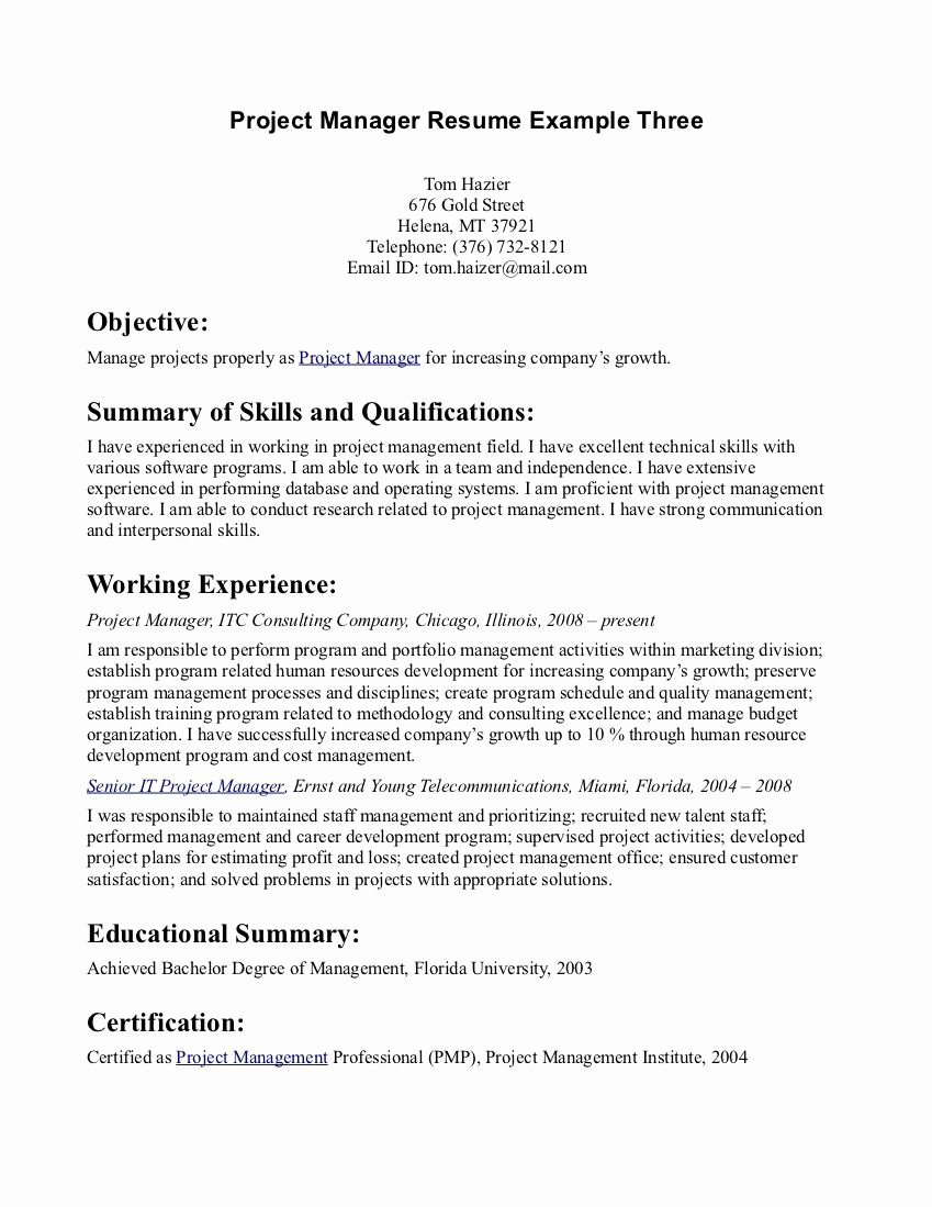 Sample Summary Statements New Resume Objective Statement Resume