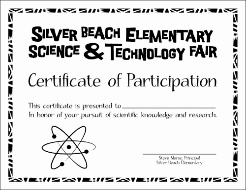 Science Fair Award Certificate Lovely Cale Burr Graphic Artist Bellingham Wa