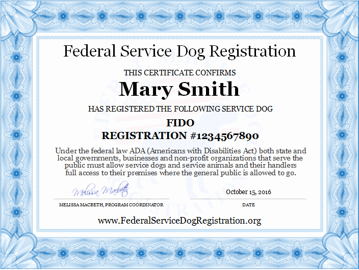 Service Dog Certificate Template Free Best Of Service Dog Registration Digital Certificate