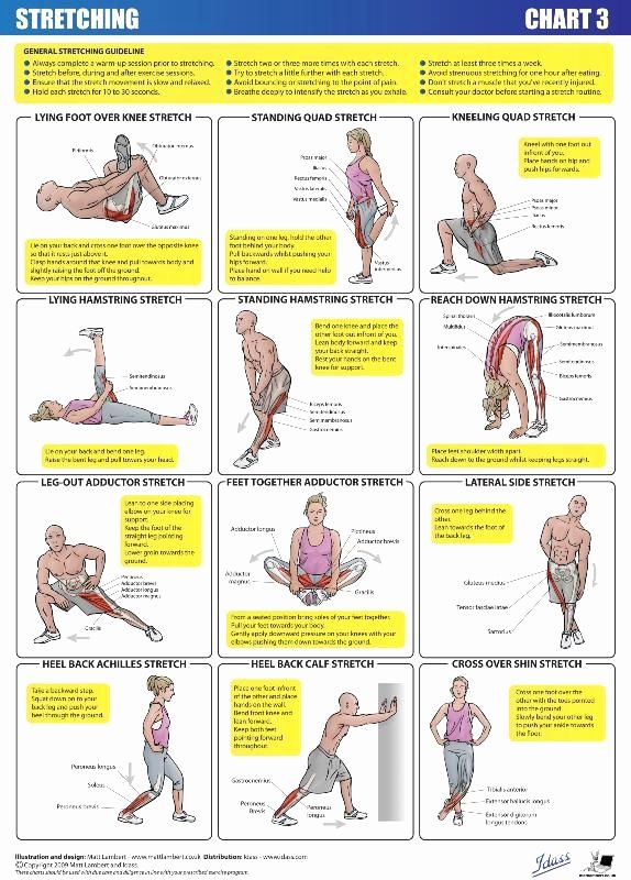Stretching Charts Free Printable Inspirational 17 Best Images About Fitness Stretching On Pinterest