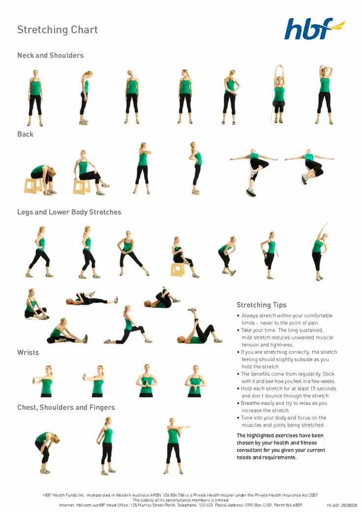  20 Stretching Charts Free Printable Dannybarrantes Template