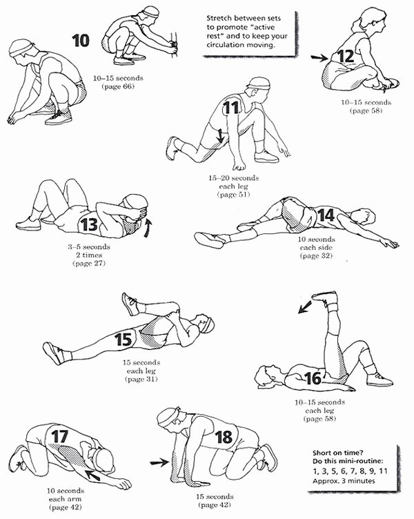 Stretching Charts Free Printable Luxury How to Stretch Stretching Tips