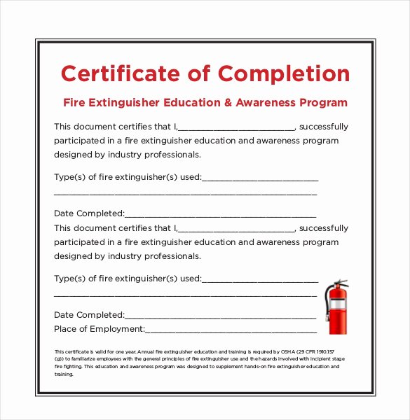 Student Council Certificates Printable Luxury 99 Free Printable Certificate Template Examples In Pdf