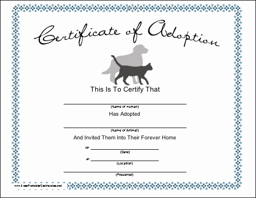 Stuffed Animal Adoption Certificate Template Best Of A Certificate for Adopting A Pet Cat