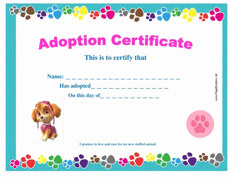 Stuffed Animal Adoption Certificate Template Best Of Best 25 Adoption Certificate Ideas On Pinterest