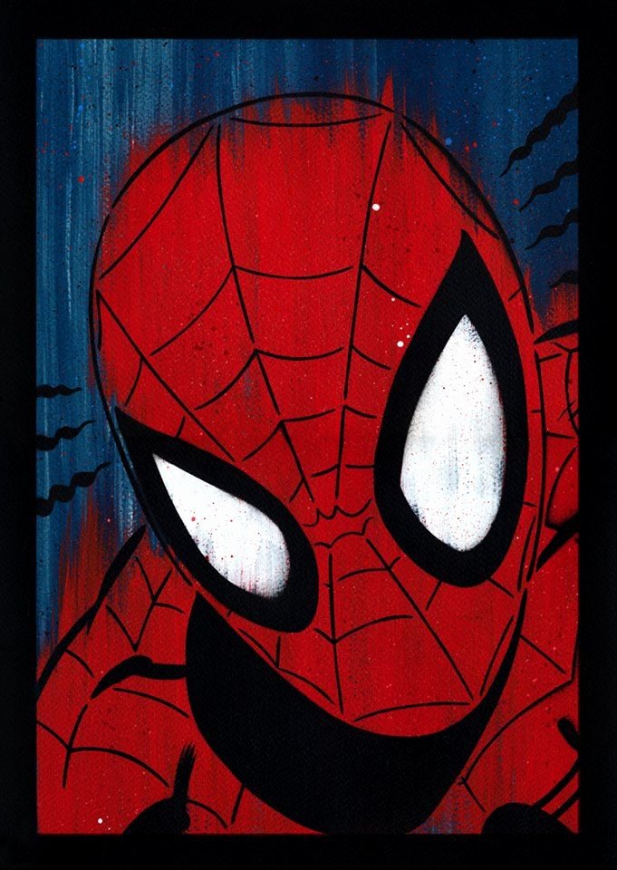 Superhero Stencils for Sale Inspirational Spider Man Spray Painted