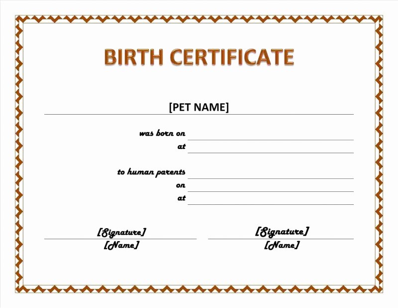 This Certificate Entitles the Bearer Awesome This Certificate Entitles the Bearer Template