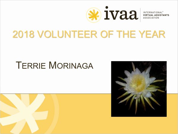 Volunteer Of the Year Certificate Inspirational Award Winners Ivaa