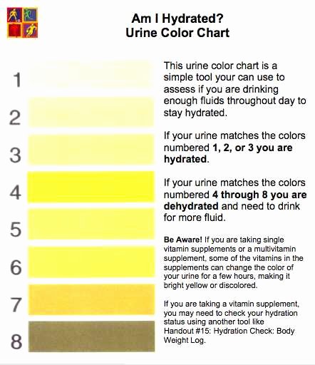 Warfarin Color Chart Fresh Pee Color What Does It Tell About Your Health Mode Et
