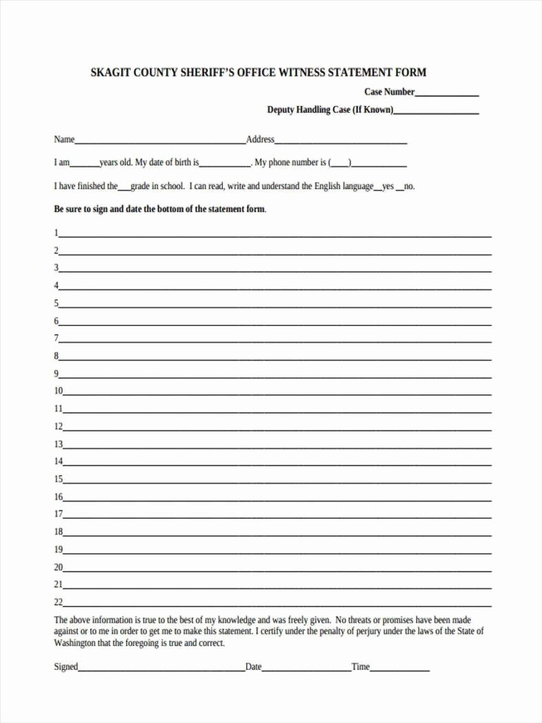 Written Statement form Lovely 13 Witness Statement forms Free Pdf Doc format